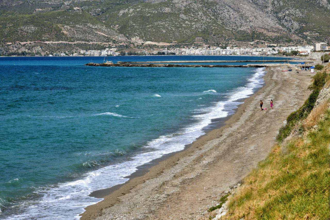 Luxurious Villa By The Sea Posidhonia  Bagian luar foto
