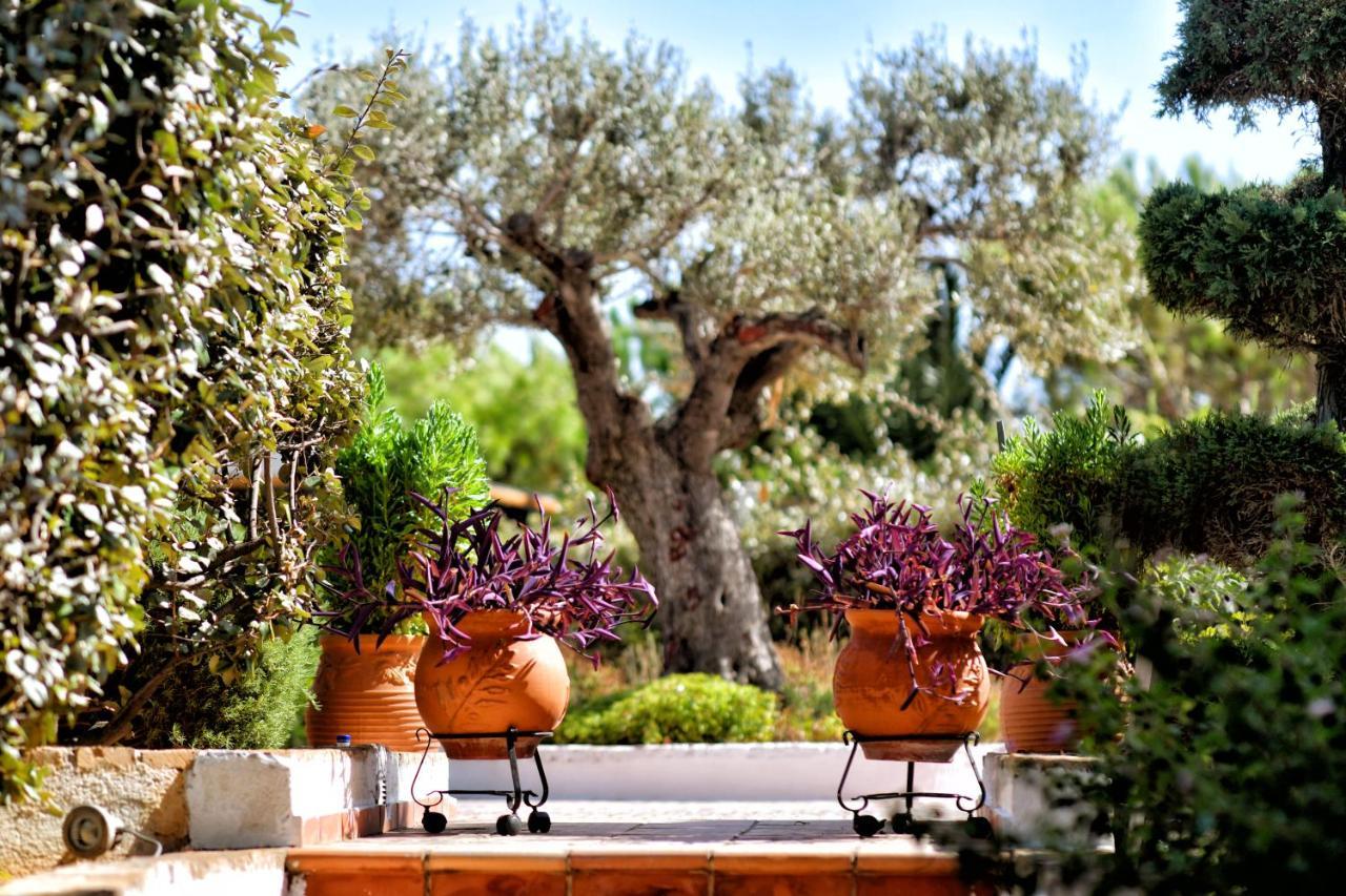 Luxurious Villa By The Sea Posidhonia  Bagian luar foto